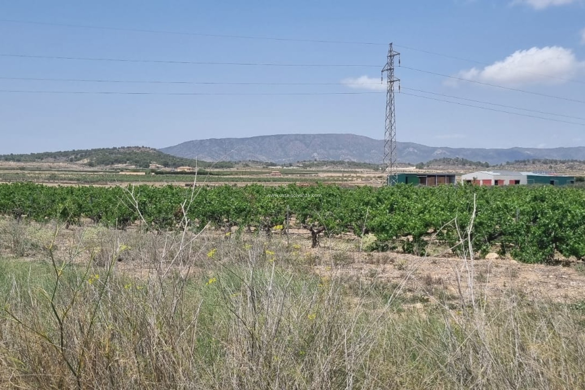 Revente - Land - Pinoso - Inland