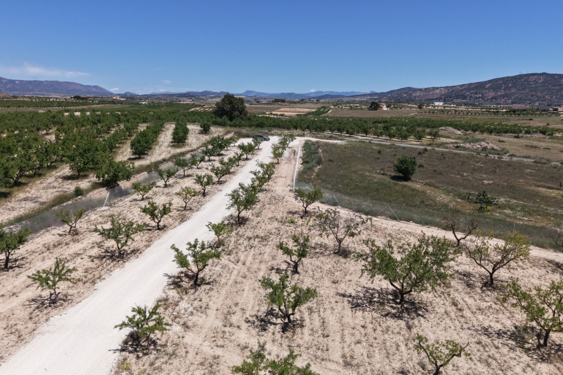 Revente - Land - Pinoso - Inland