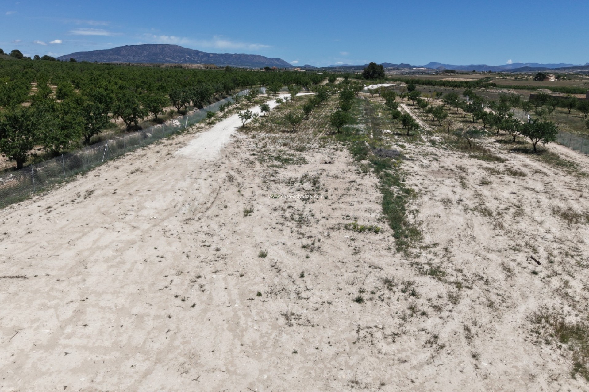 Revente - Land - Pinoso - Inland