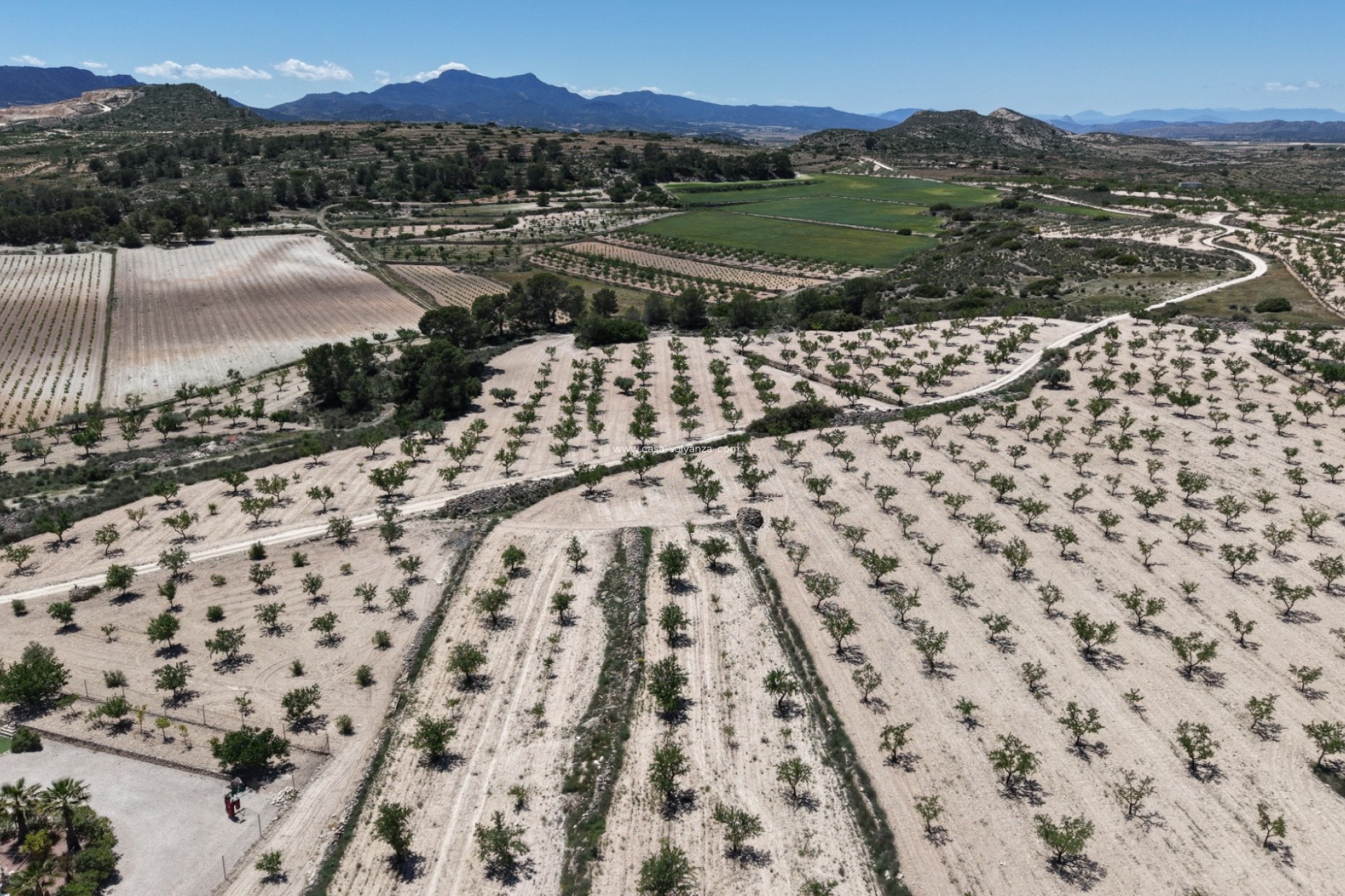 Revente - Land - Pinoso - Inland
