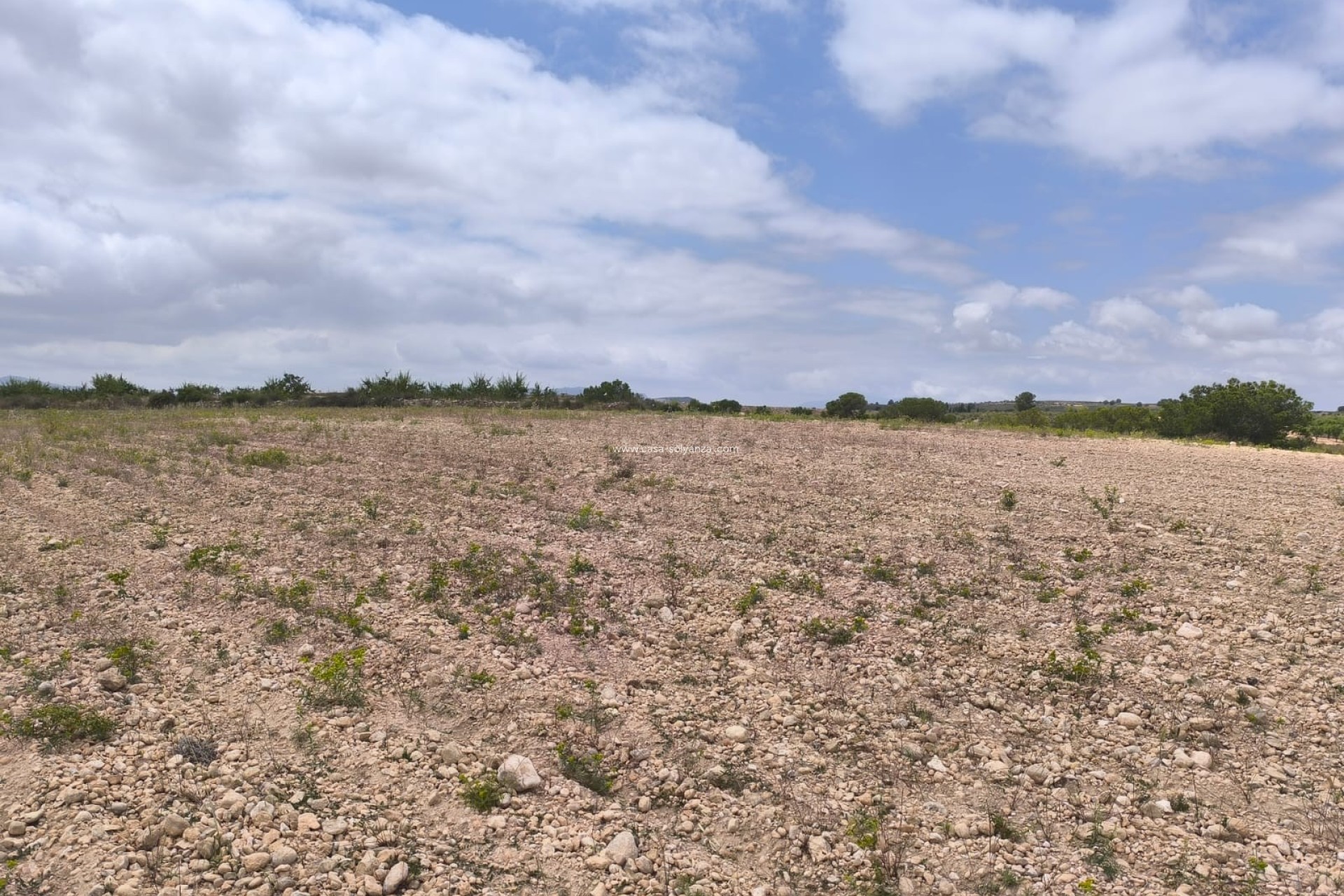 Revente - Land - Pinoso - Inland