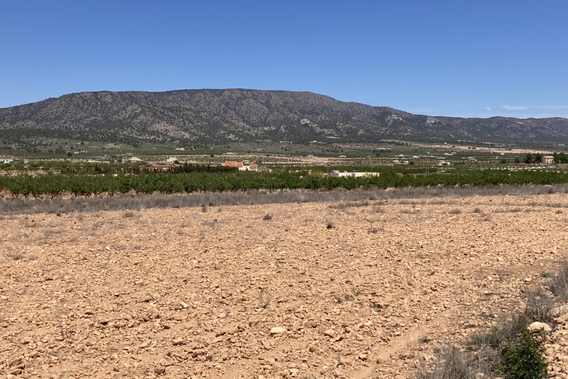 Revente - Land - Pinoso - Lel