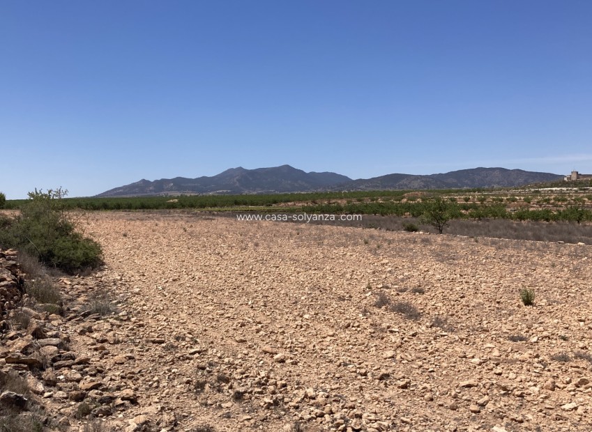 Revente - Land - Pinoso - Lel