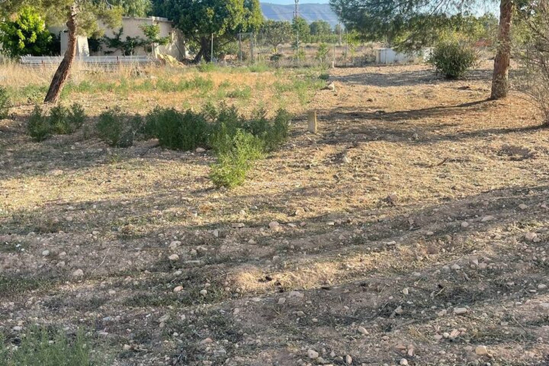 Revente - Land - Pinoso