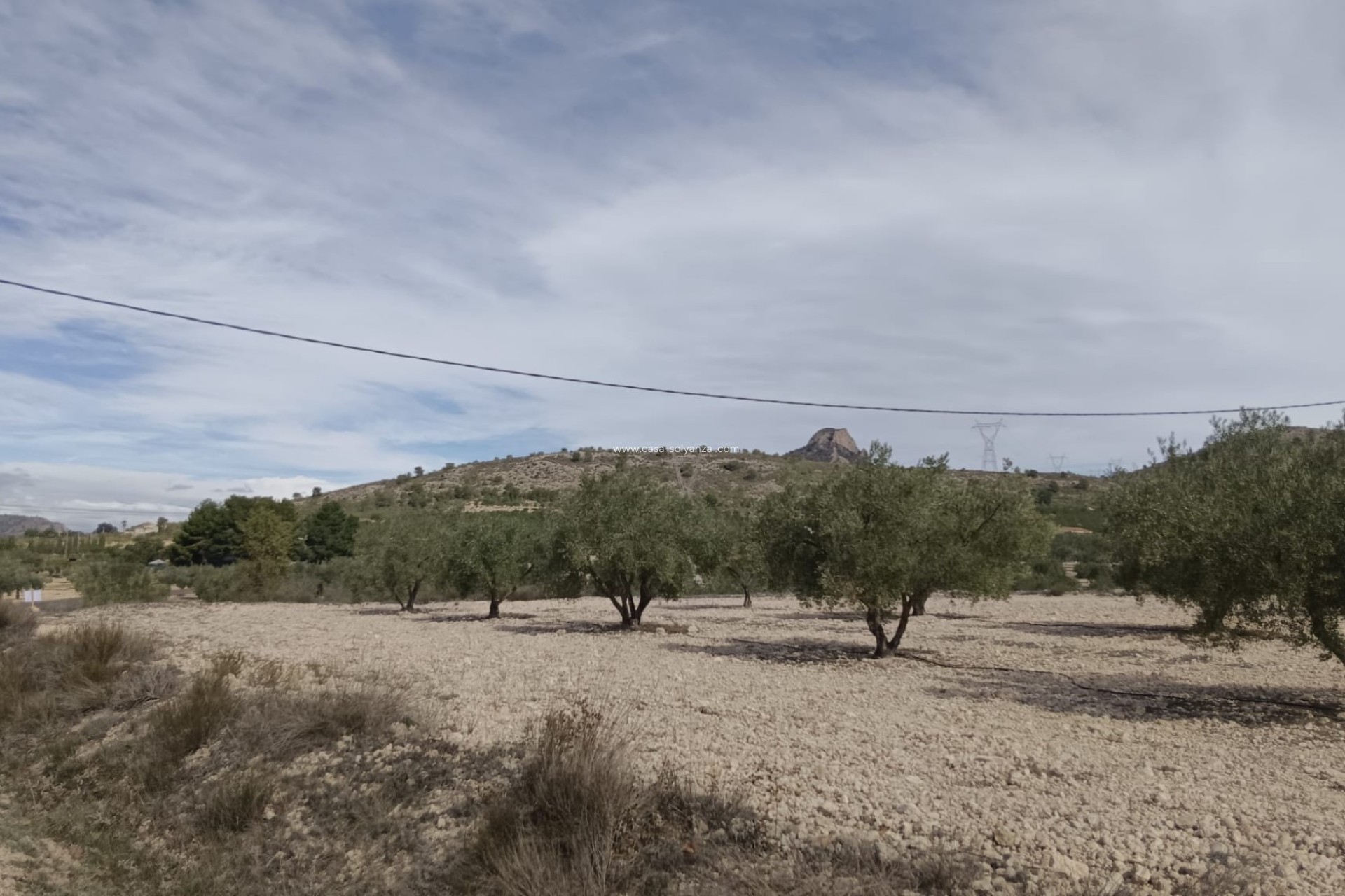 Revente - Land - Salinas - Inland