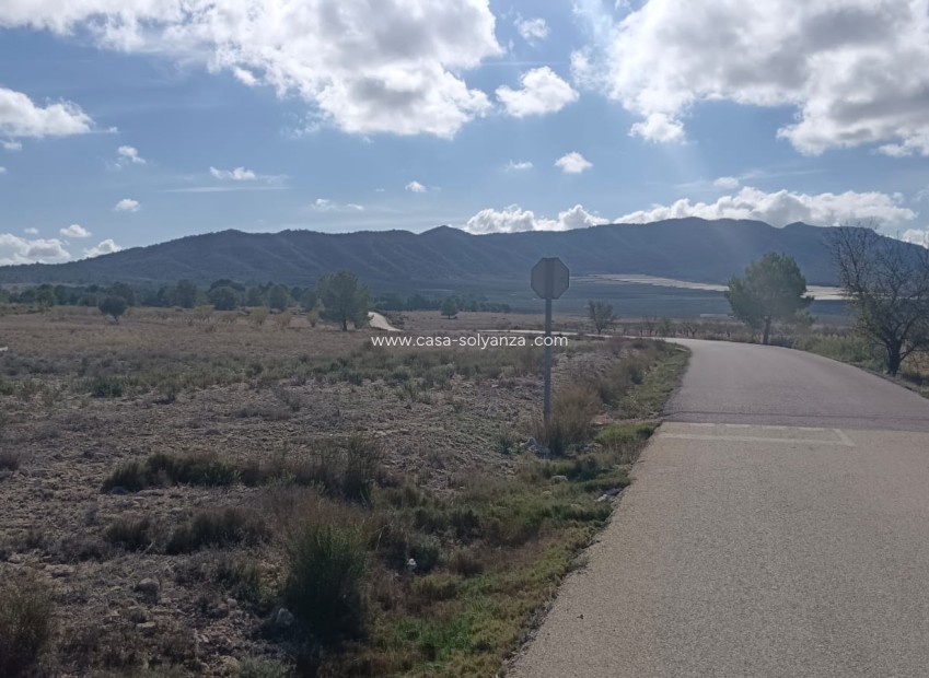 Revente - Land - Salinas - Inland