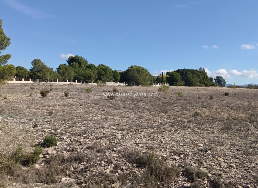 Revente - Land - Salinas - Inland