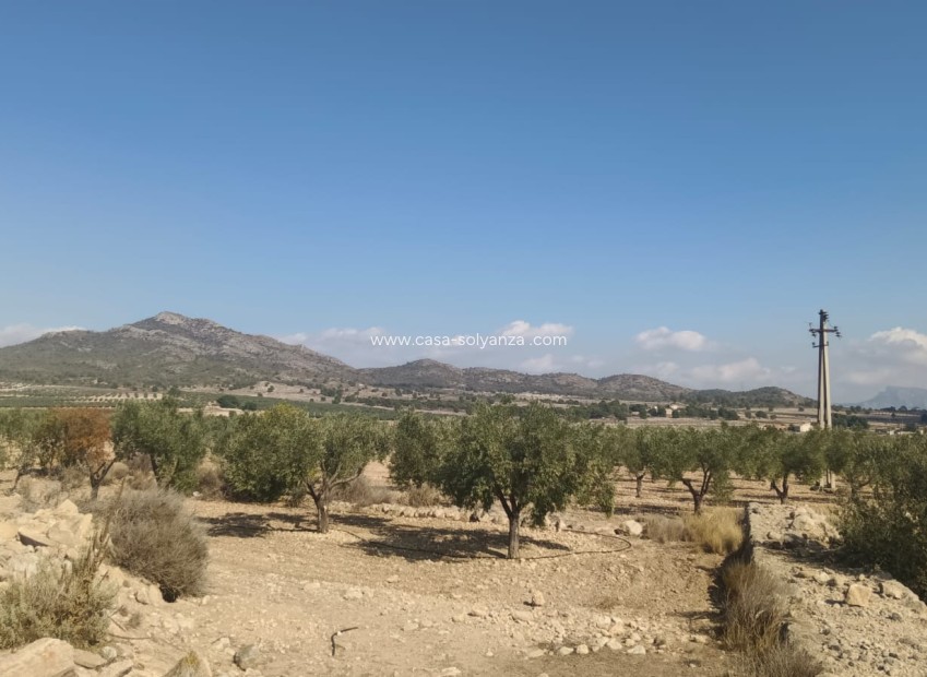 Revente - Land - Salinas - Inland