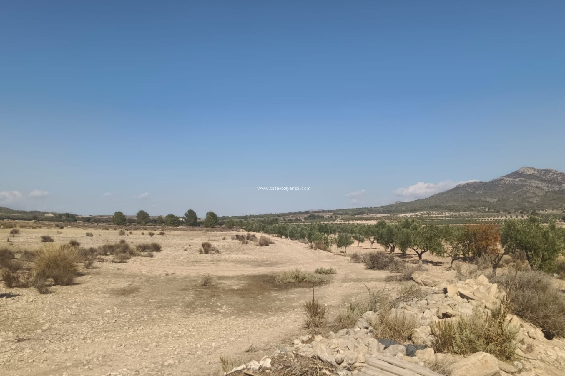 Revente - Land - Salinas - Inland