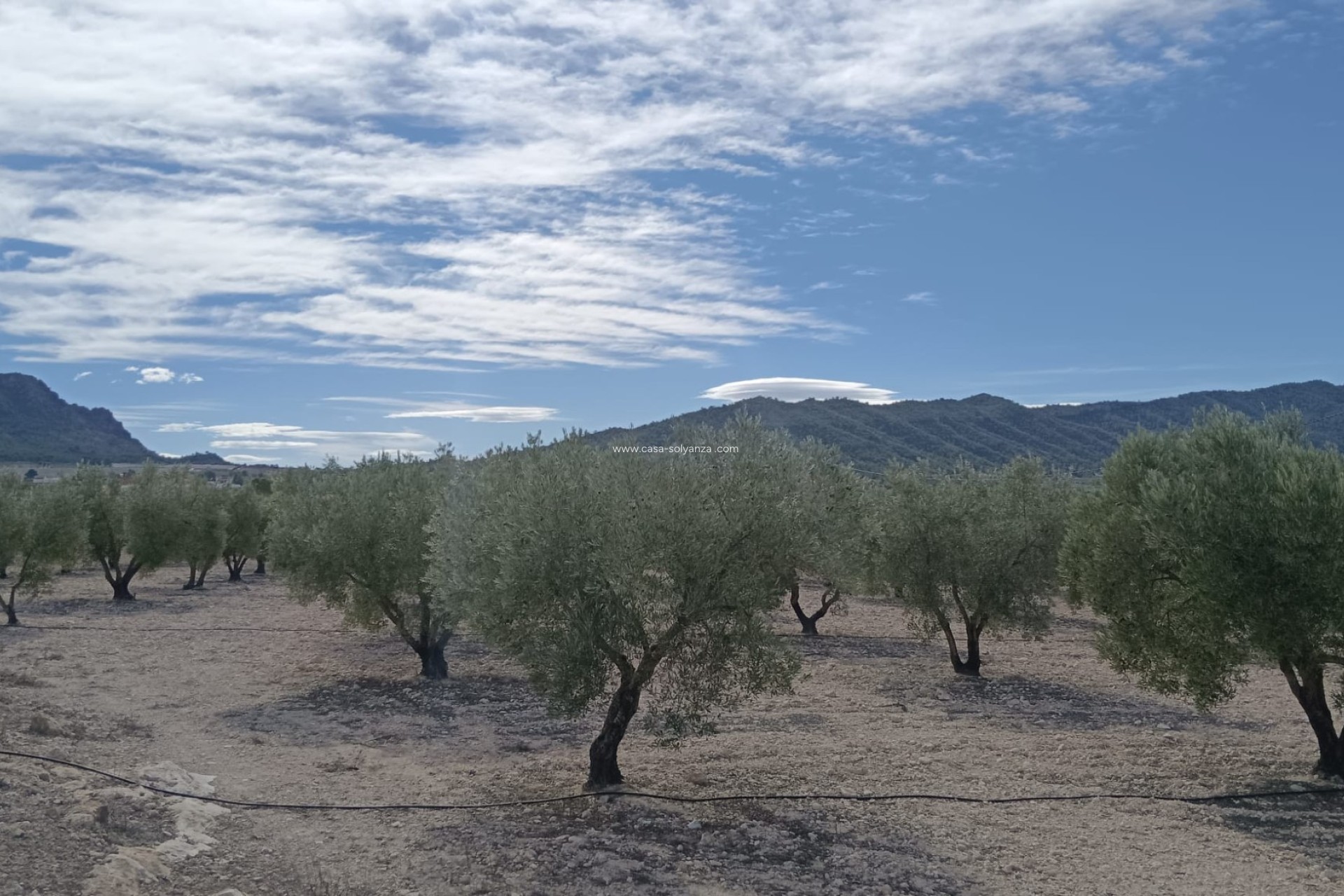 Revente - Land - Salinas - Inland