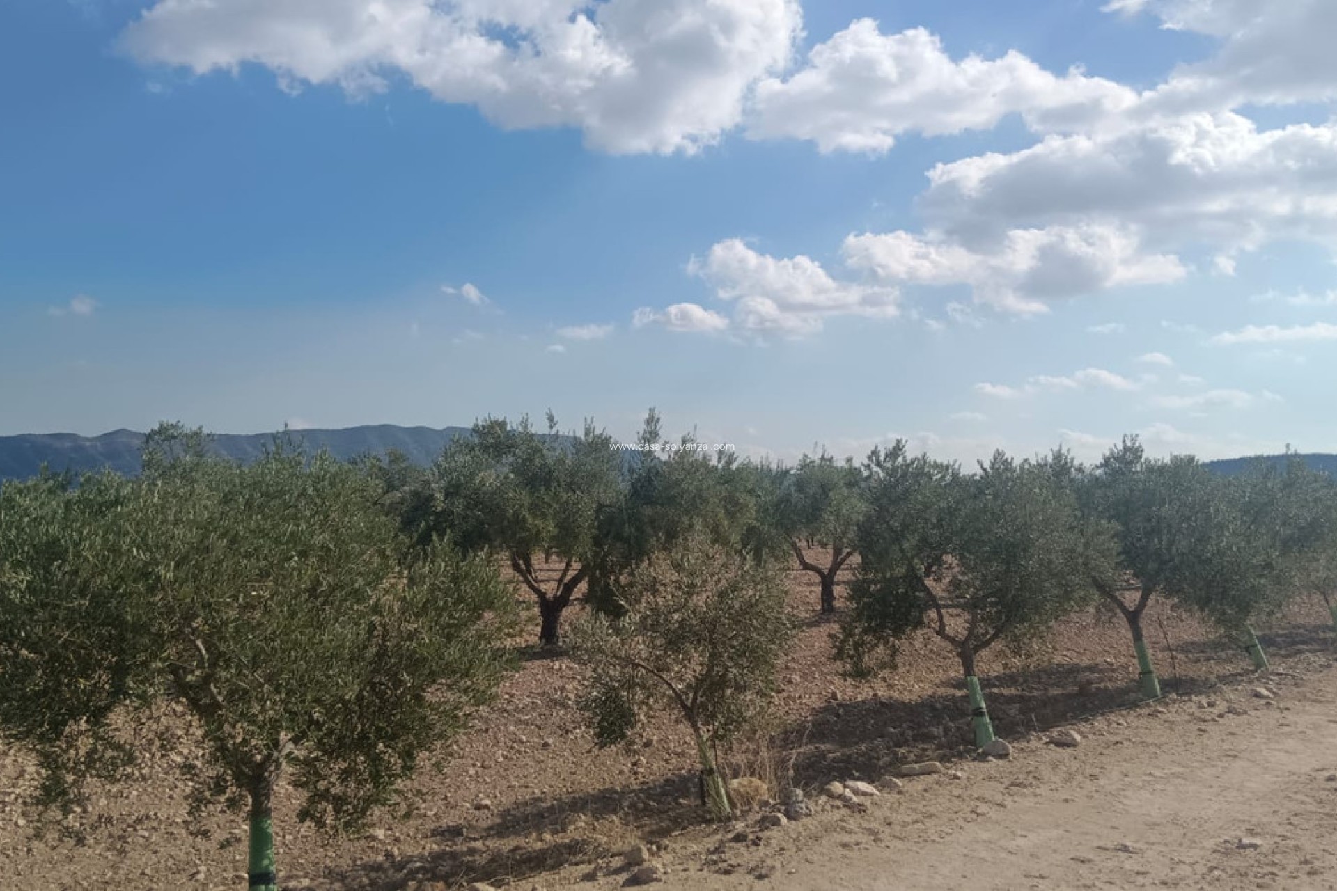 Revente - Land - Salinas - Salinas Centro