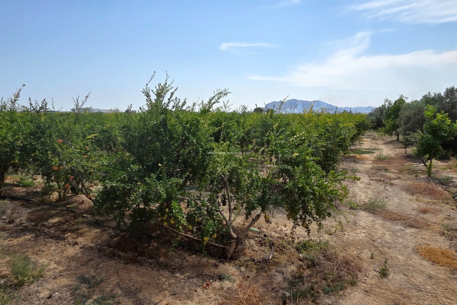 Revente - Land - San Isidro