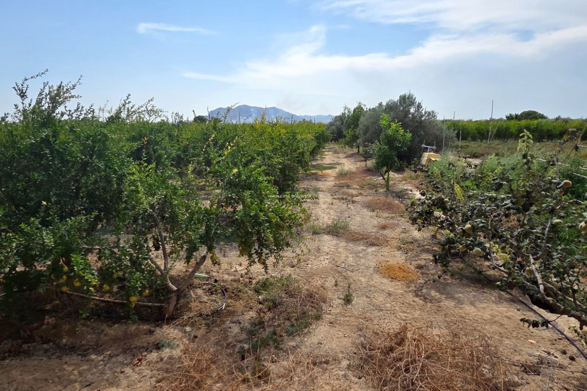 Revente - Land - San Isidro