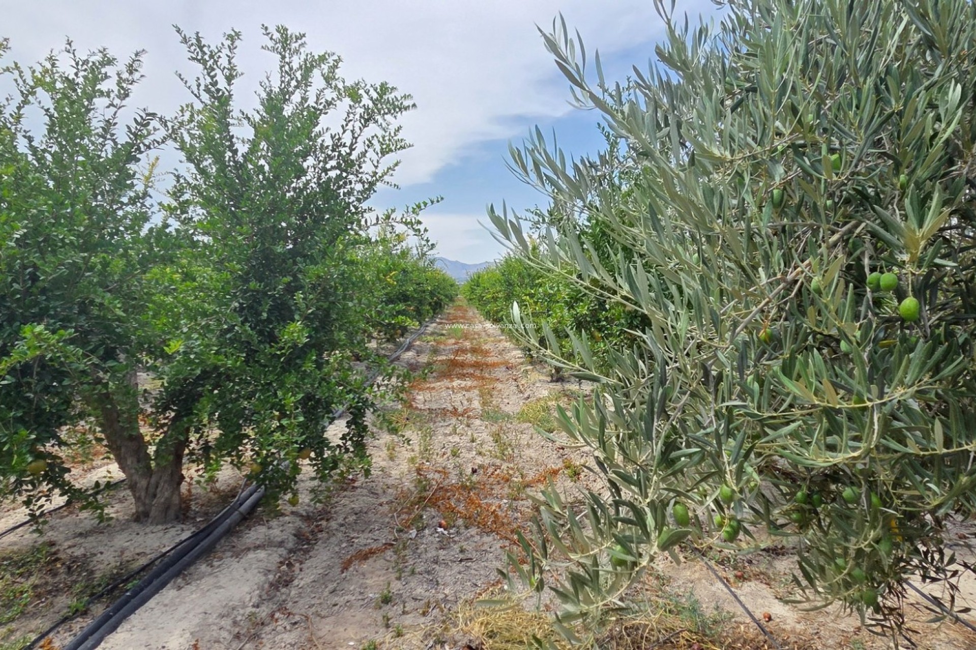 Revente - Land - San Isidro