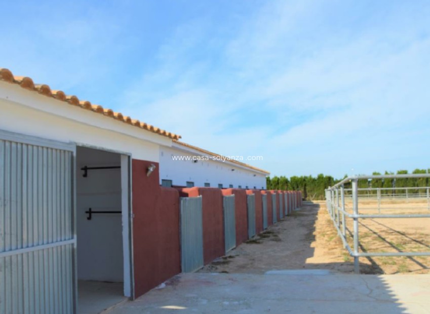 Revente - Land - San Miguel de Salinas - Inland