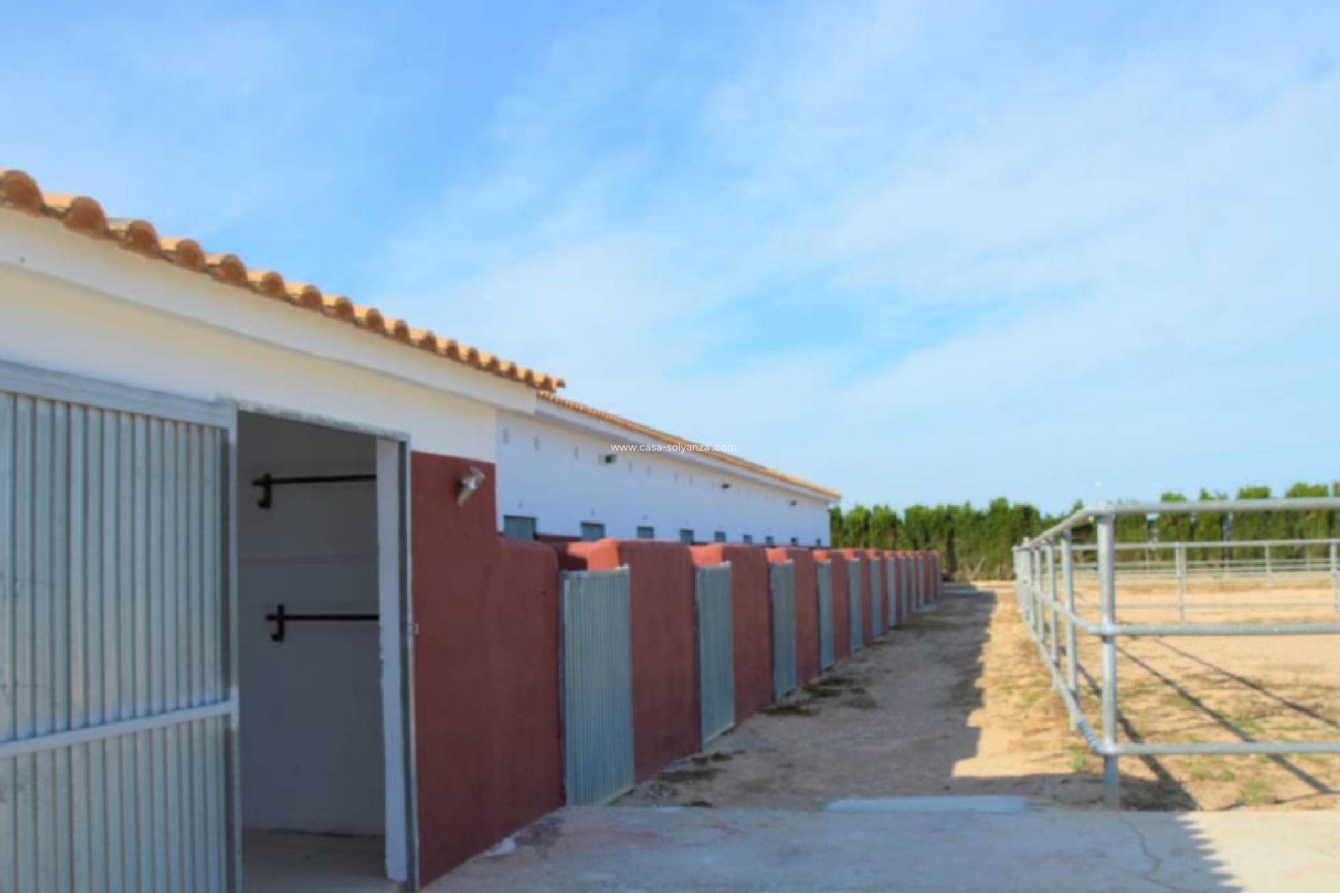 Revente - Land - San Miguel de Salinas - Inland