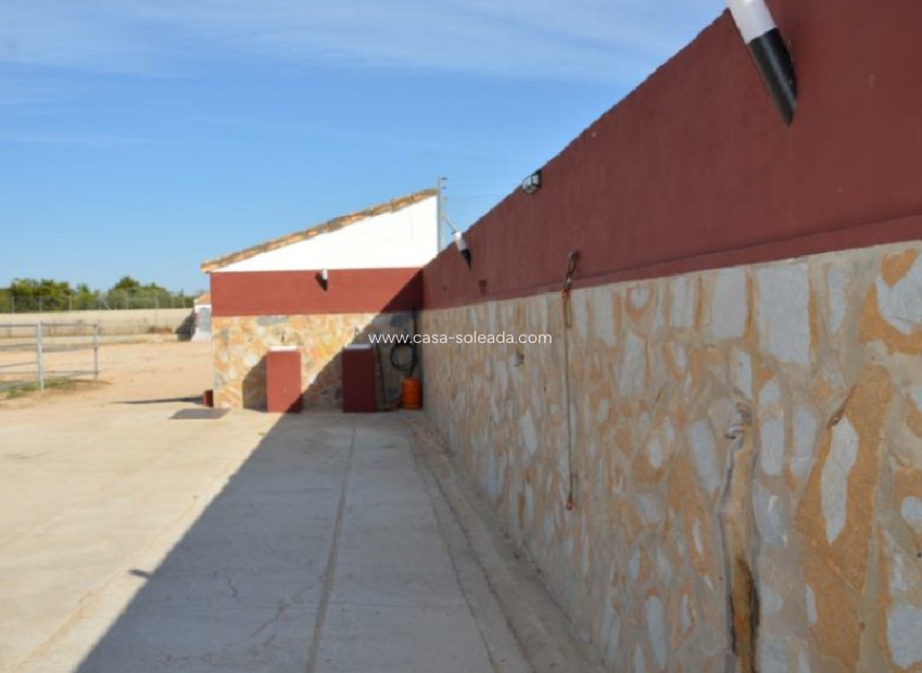 Revente - Land - San Miguel de Salinas - Inland