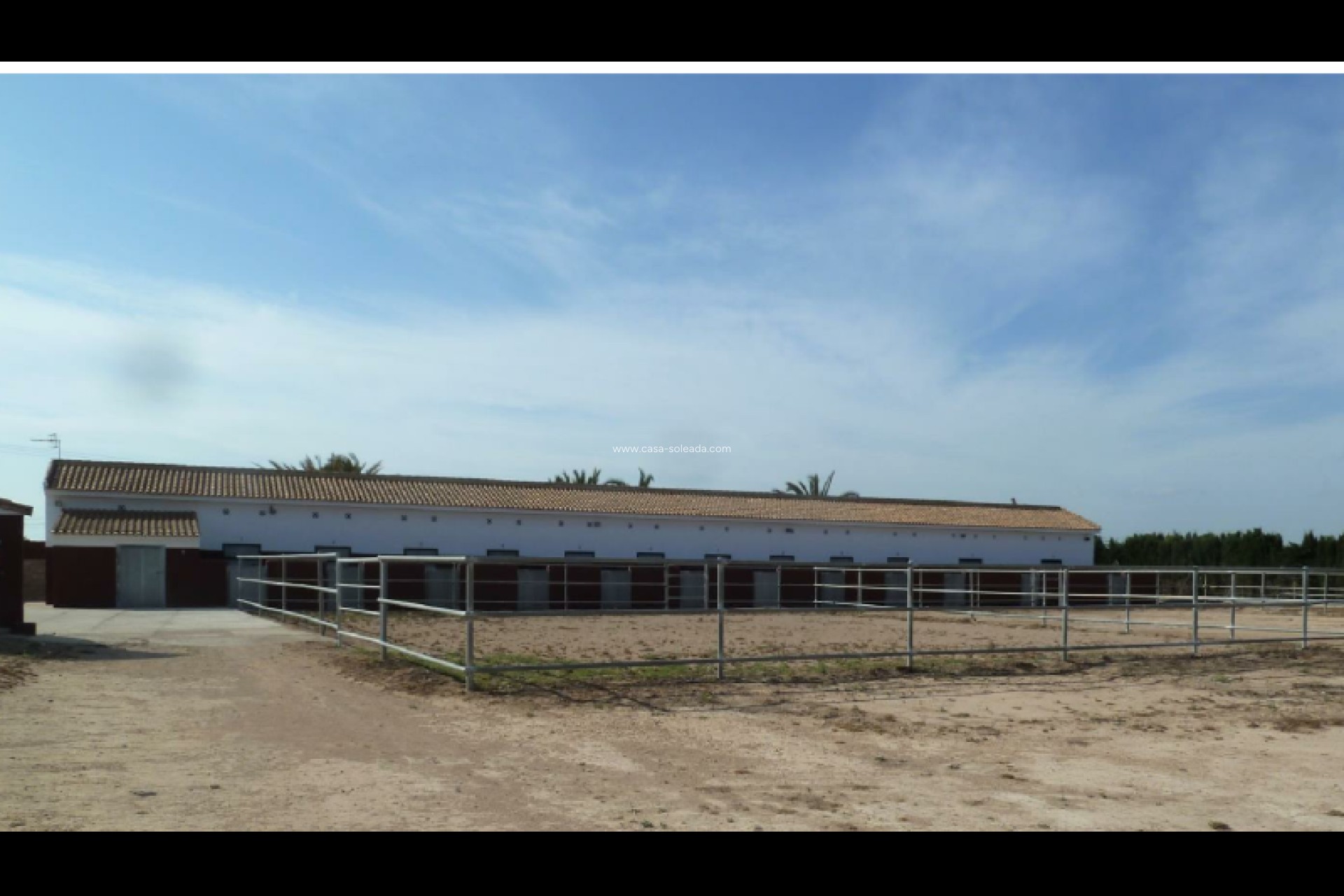 Revente - Land - San Miguel de Salinas - Inland