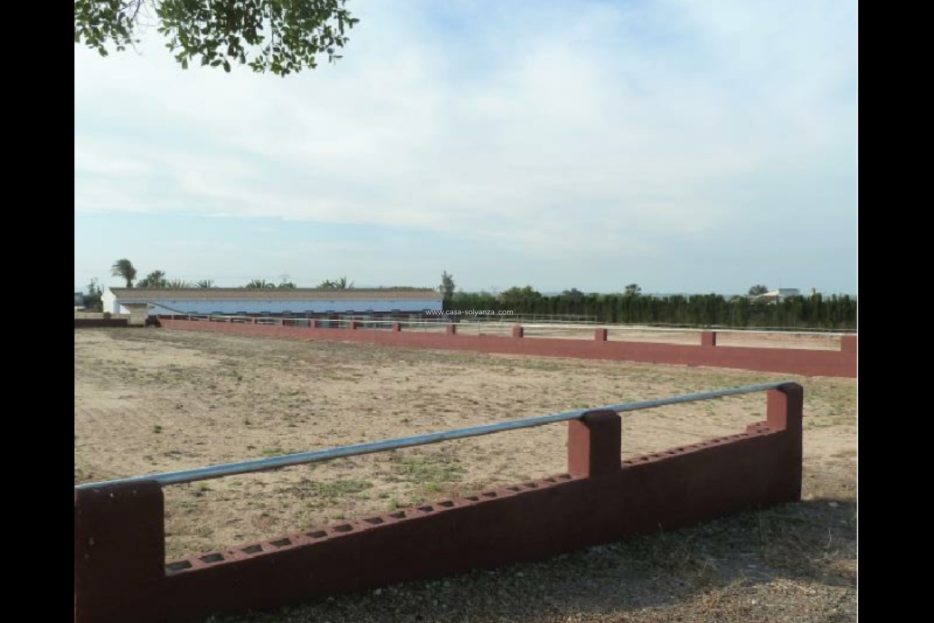 Revente - Land - San Miguel de Salinas - Inland