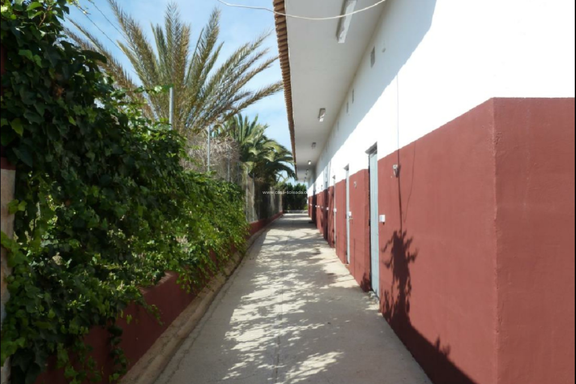 Revente - Land - San Miguel de Salinas - Inland