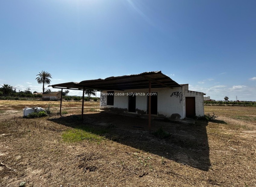 Revente - Land - San Miguel de Salinas - San Miguel Salinas