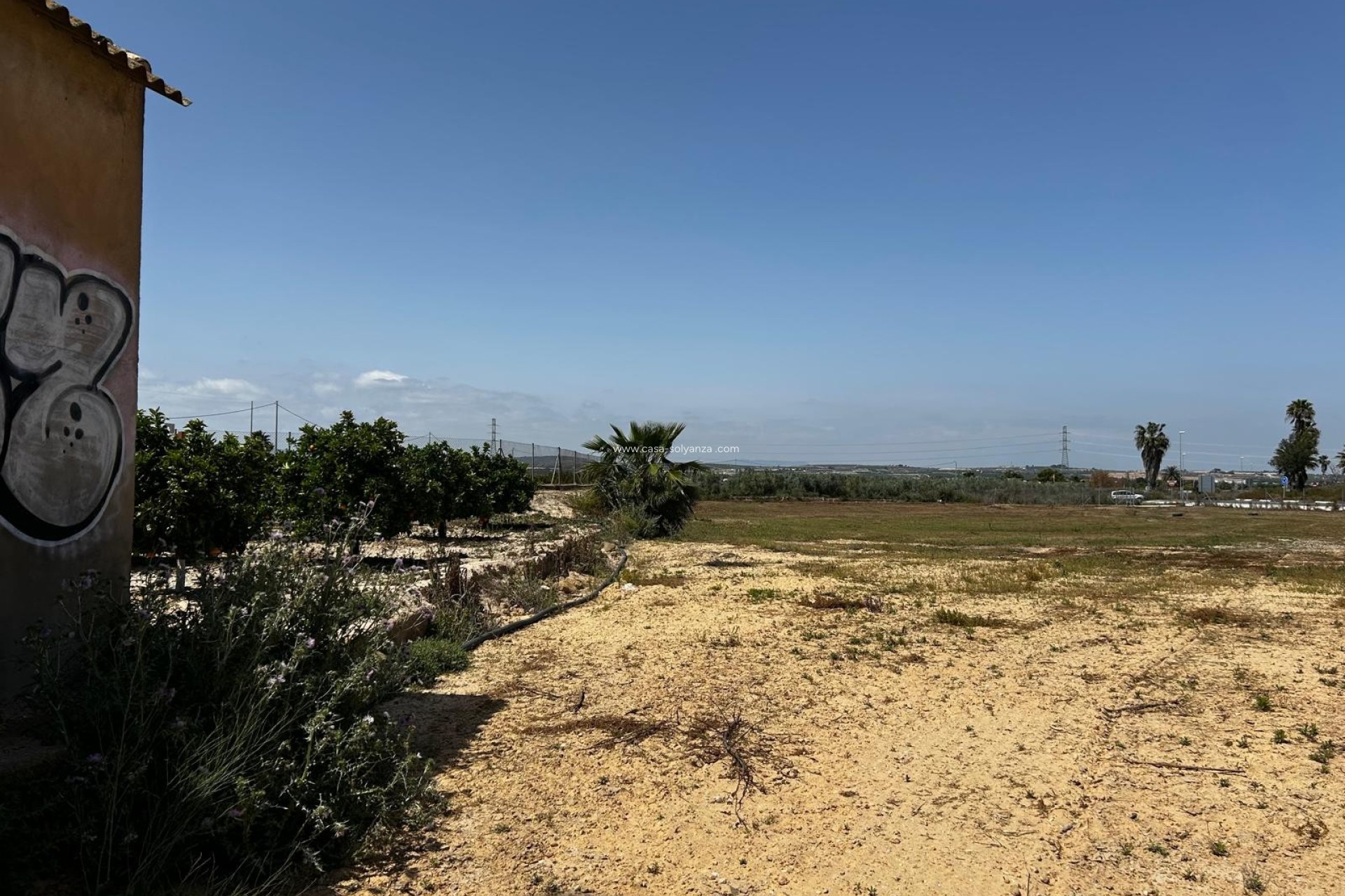 Revente - Land - San Miguel de Salinas - San Miguel Salinas