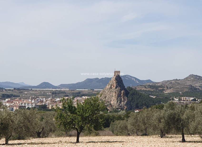 Revente - Land - Sax - Inland