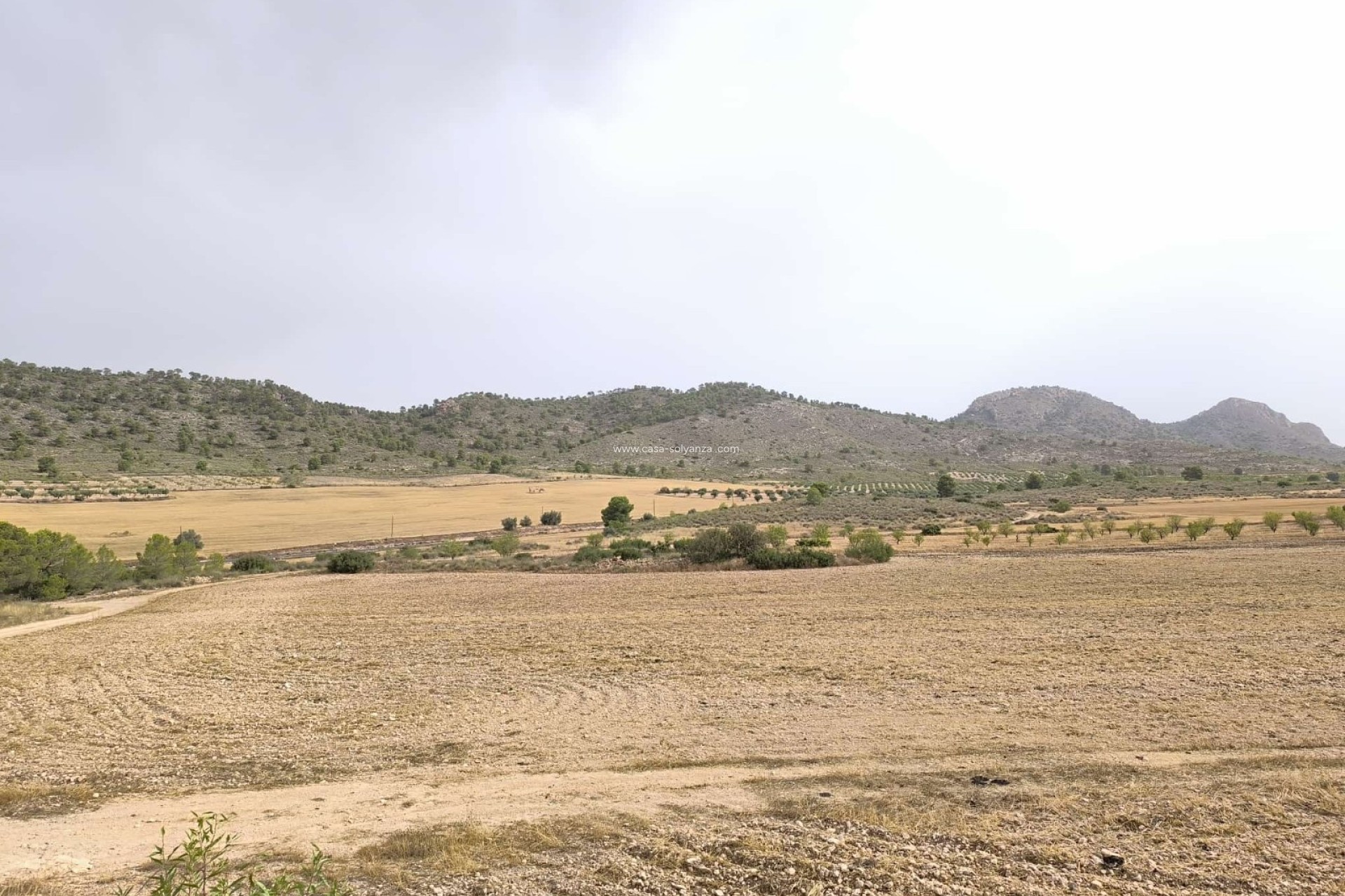 Revente - Land - Yecla - Inland