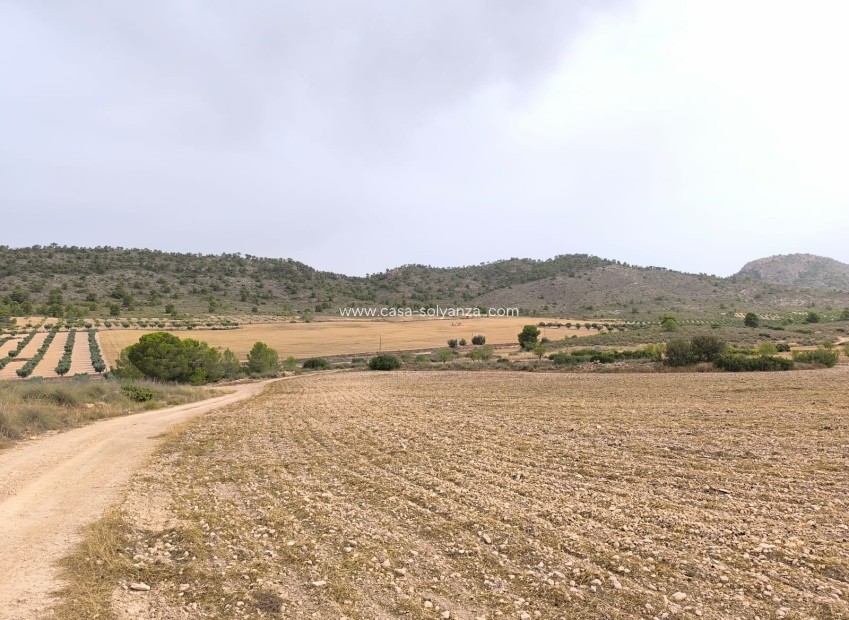 Revente - Land - Yecla - Inland