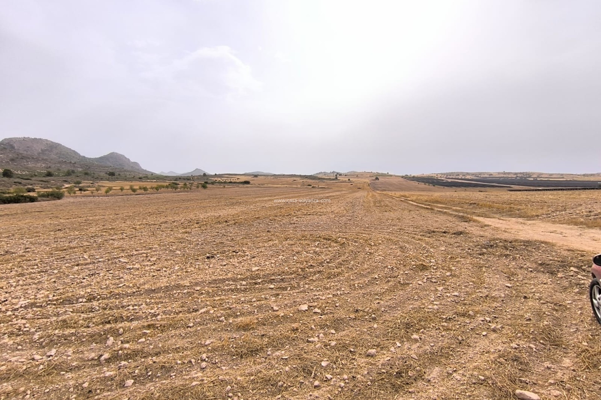 Revente - Land - Yecla - Inland