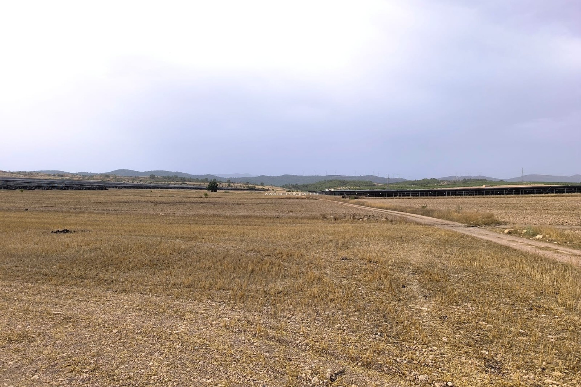 Revente - Land - Yecla - Inland