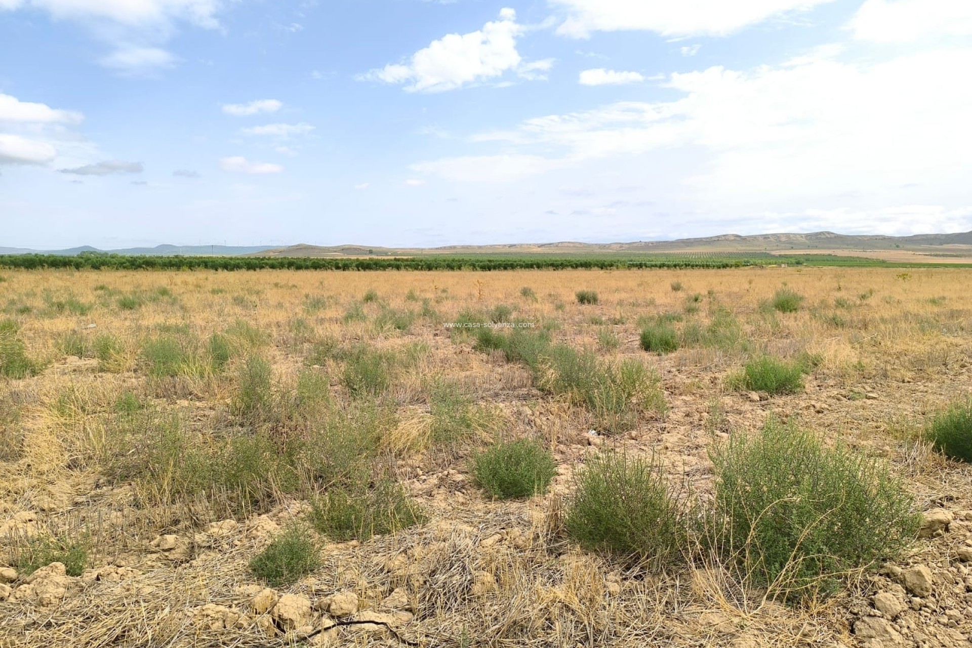 Revente - Land - Yecla - Inland