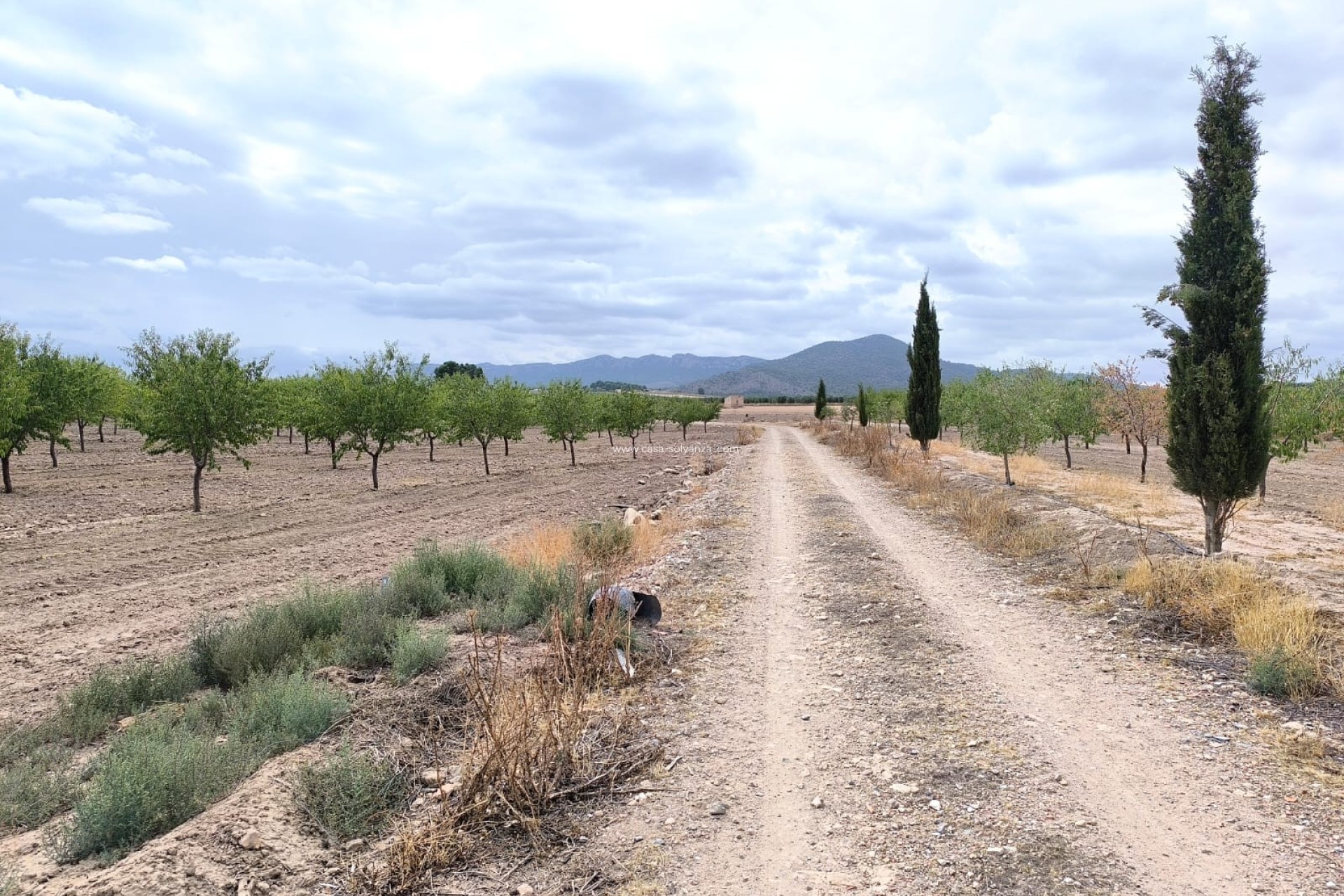 Revente - Land - Yecla - Inland