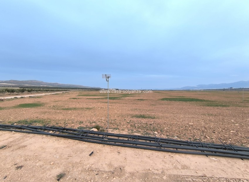 Revente - Land - Yecla - Inland