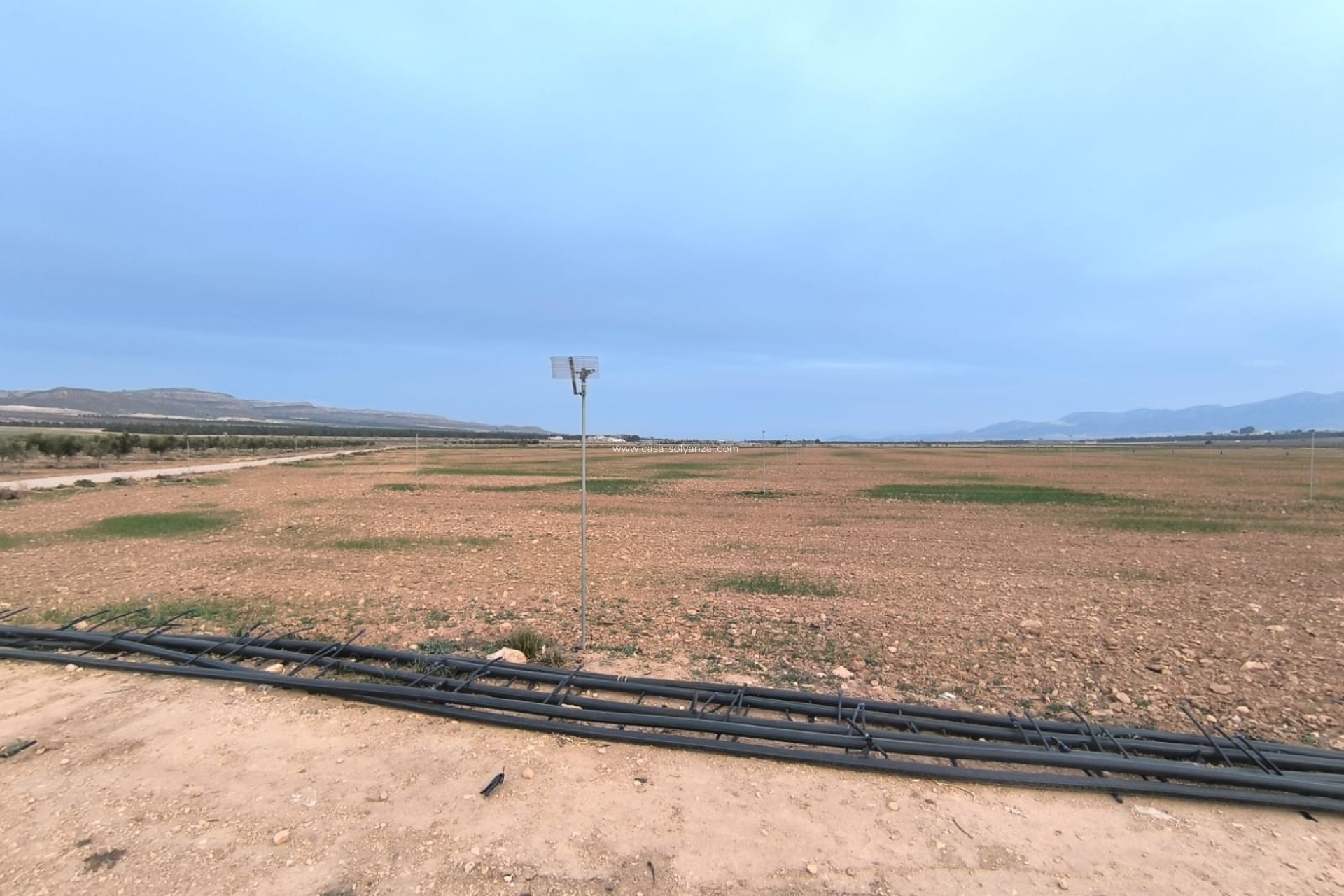 Revente - Land - Yecla - Inland