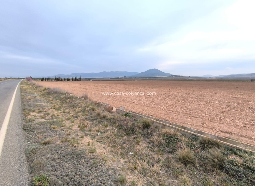 Revente - Land - Yecla - Inland