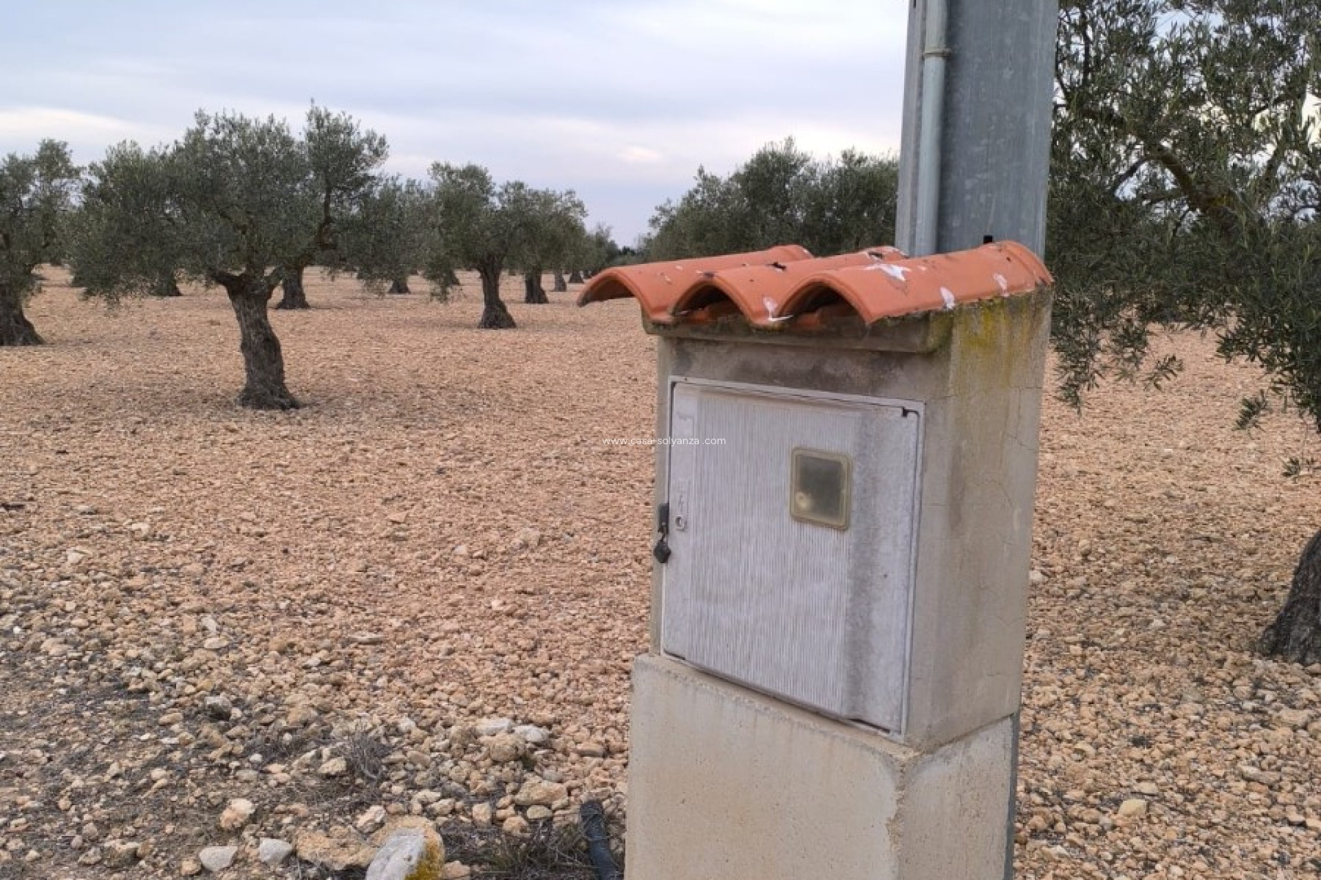 Revente - Land - Yecla - Inland