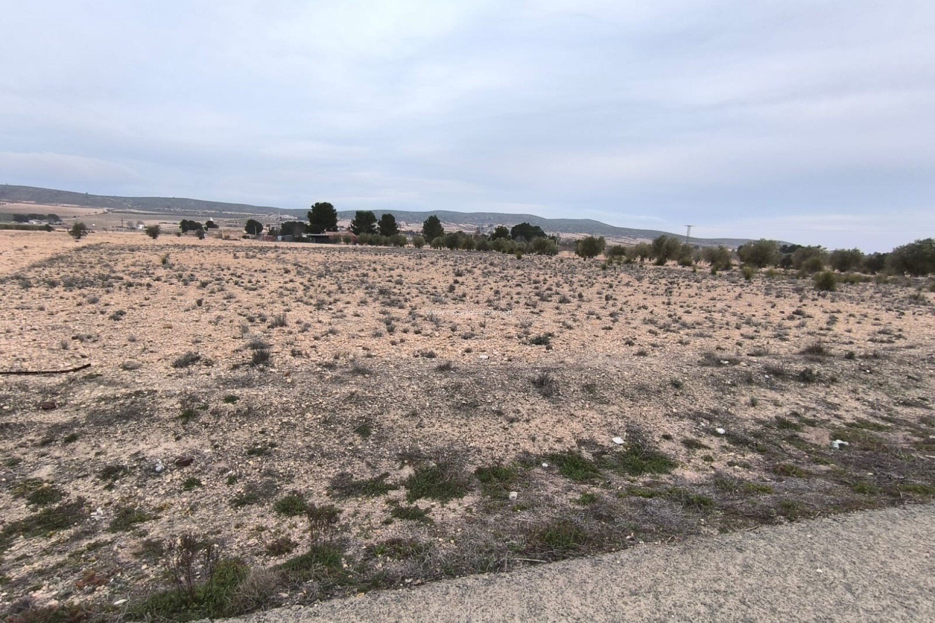 Revente - Land - Yecla - Inland