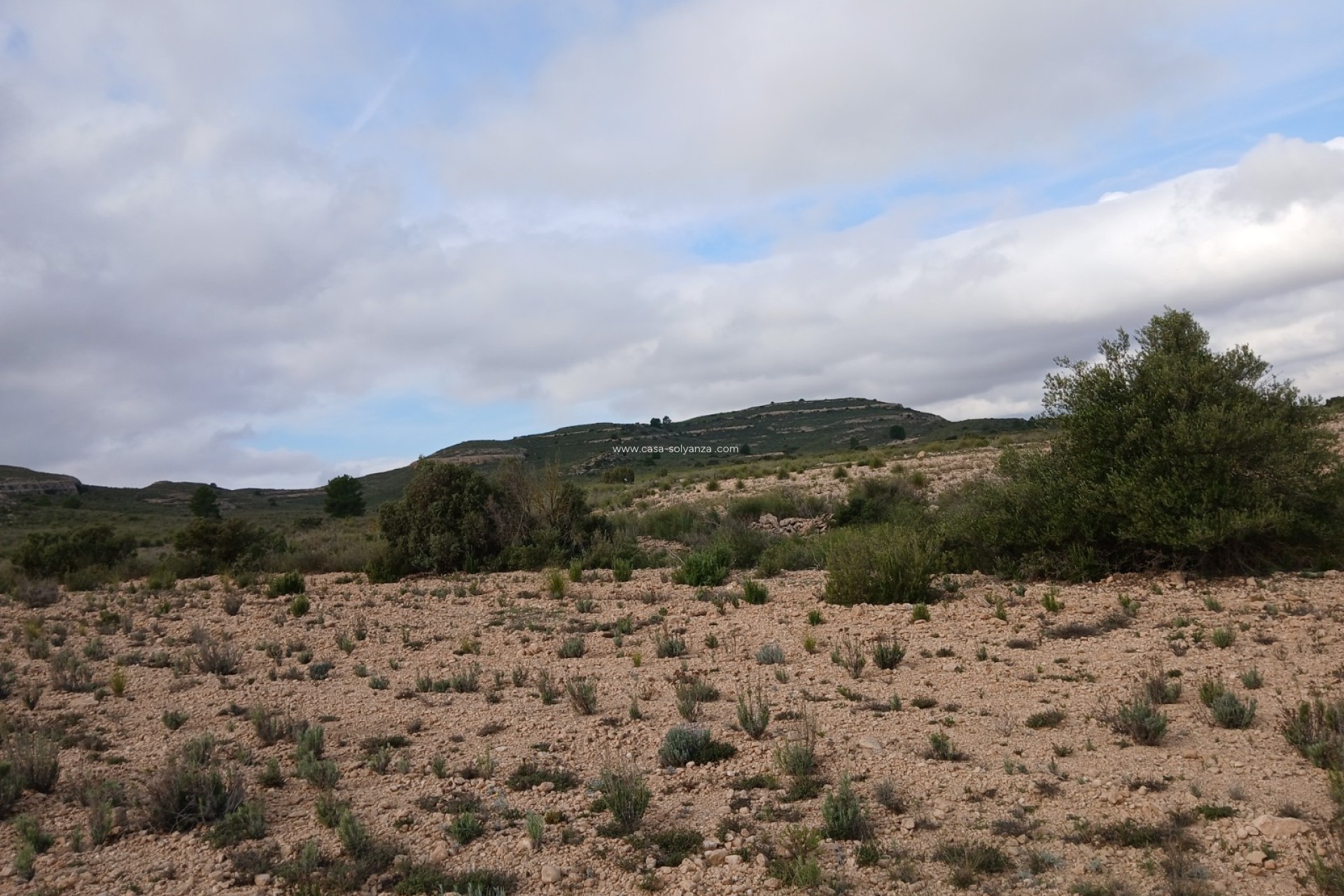 Revente - Land - Yecla - Inland