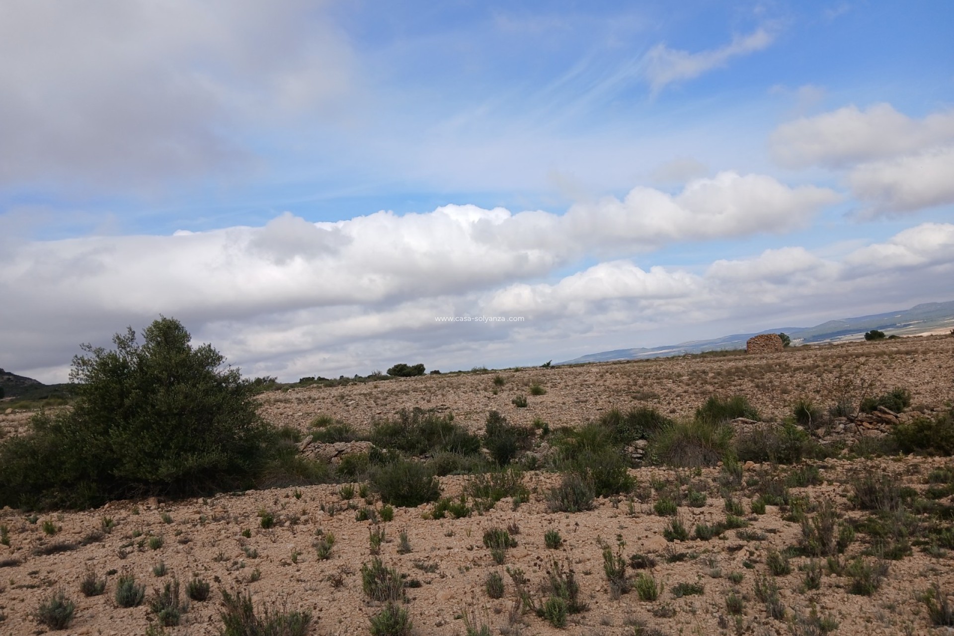 Revente - Land - Yecla - Inland