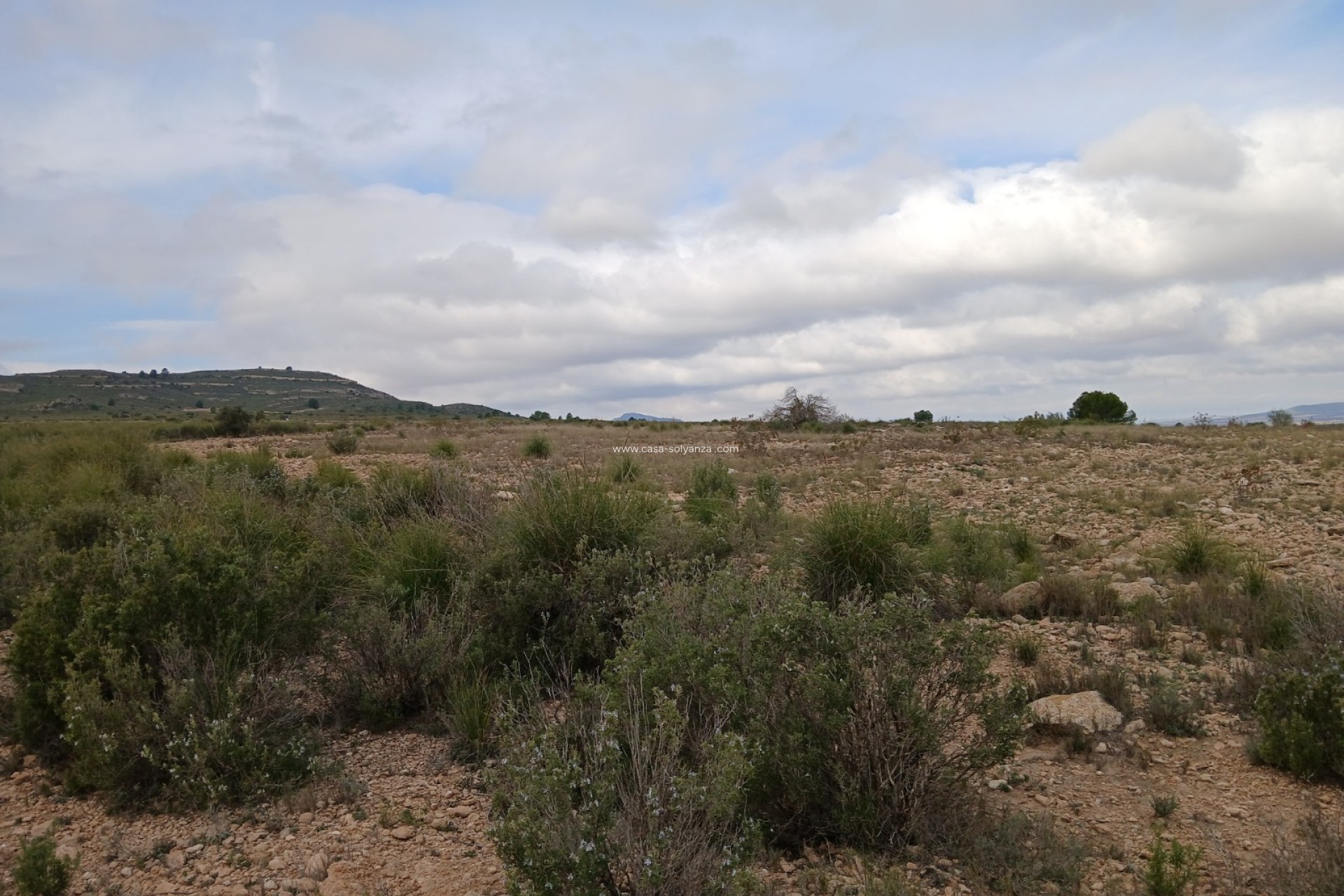 Revente - Land - Yecla - Inland