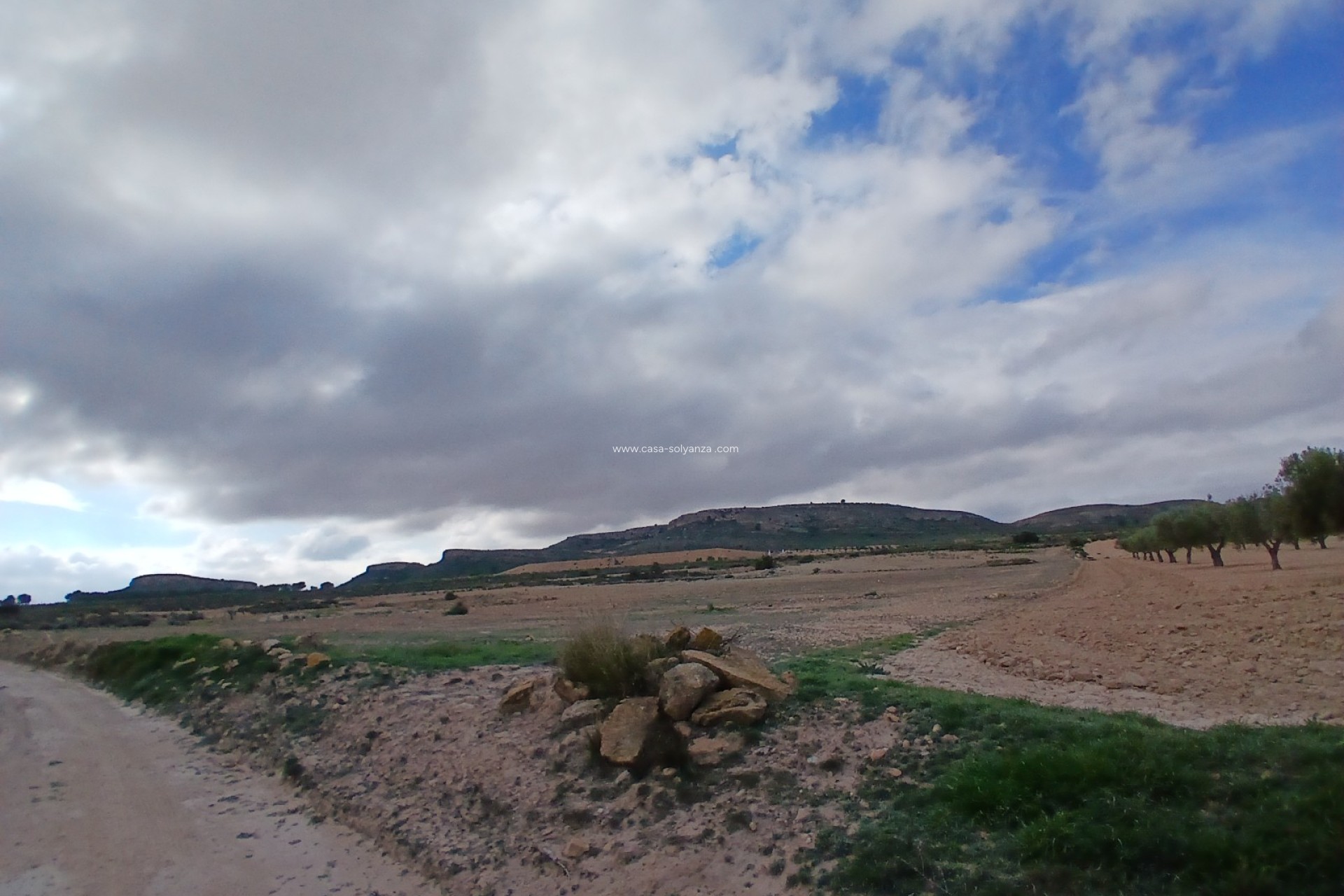 Revente - Land - Yecla - Inland