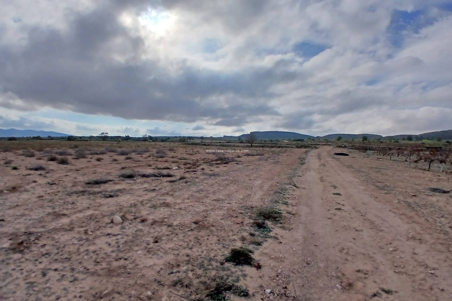 Revente - Land - Yecla - Inland