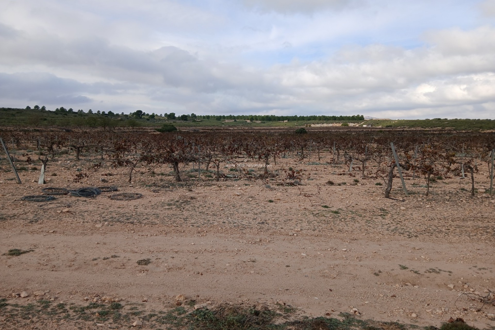 Revente - Land - Yecla - Inland