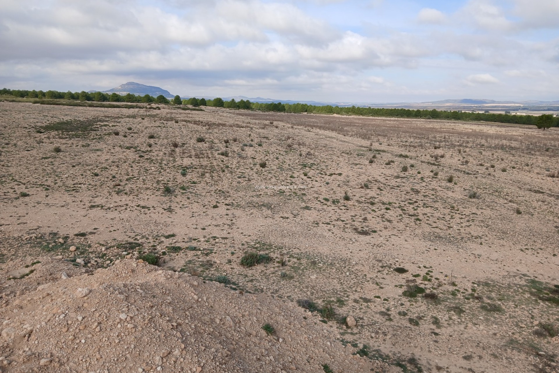 Revente - Land - Yecla - Inland