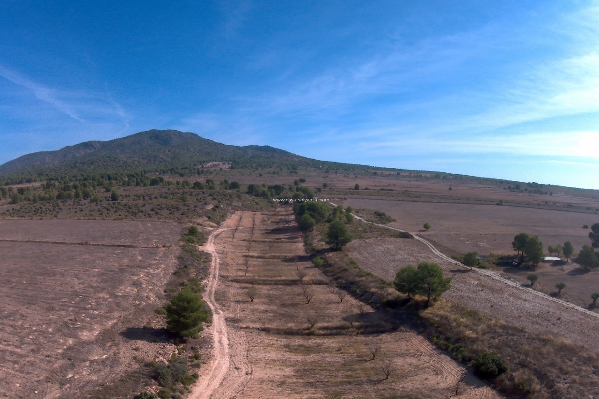 Revente - Land - Yecla - Inland