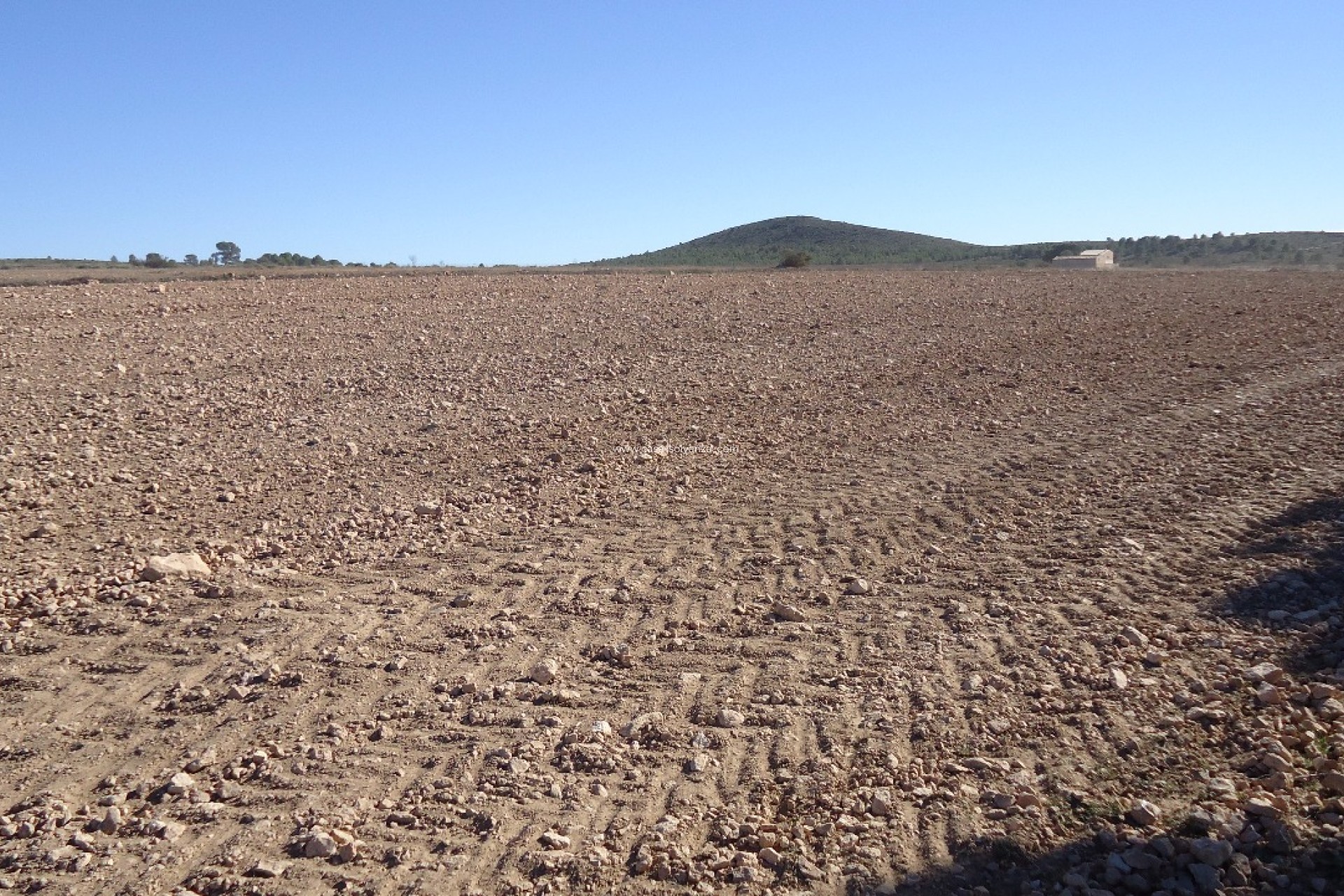 Revente - Land - Yecla - Inland