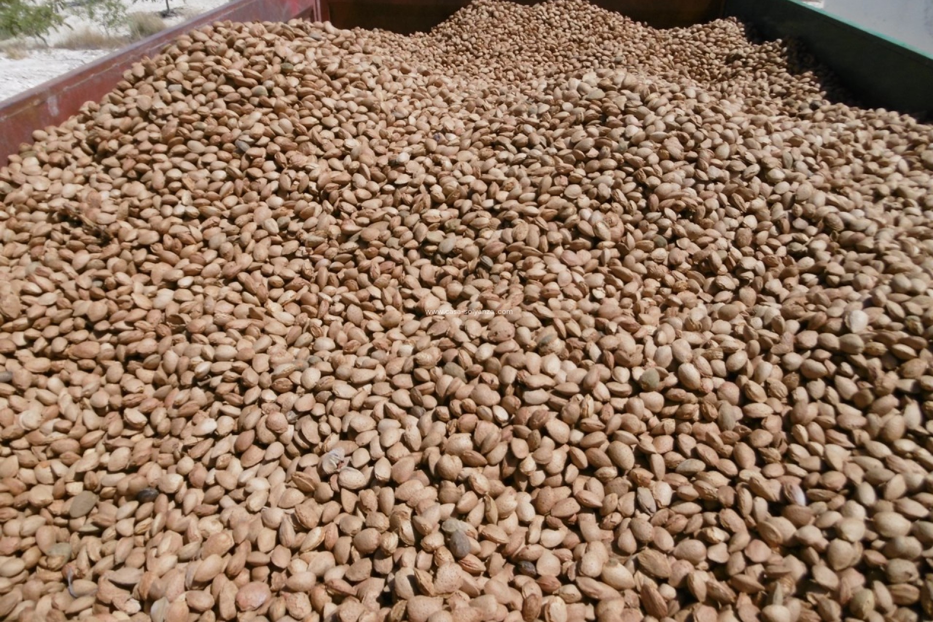 Revente - Land - Yecla - Inland