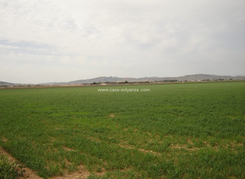 Revente - Land - Yecla - Inland