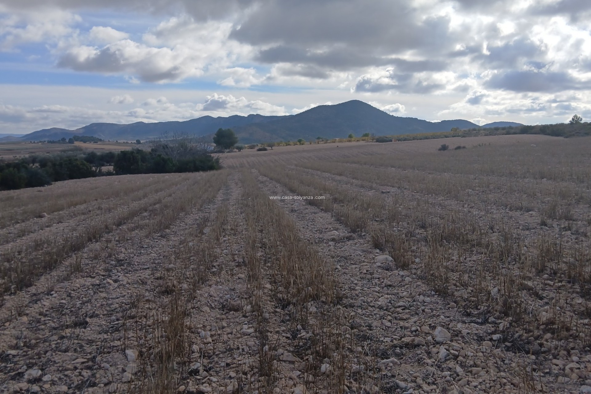 Revente - Land - Yecla - Inland